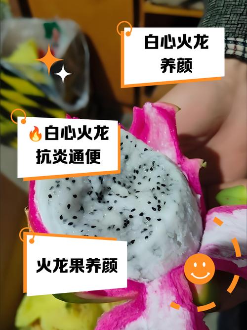 痛风病人能吃火龙果吗