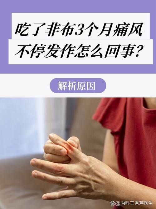 痛风发作时能吃非布吗