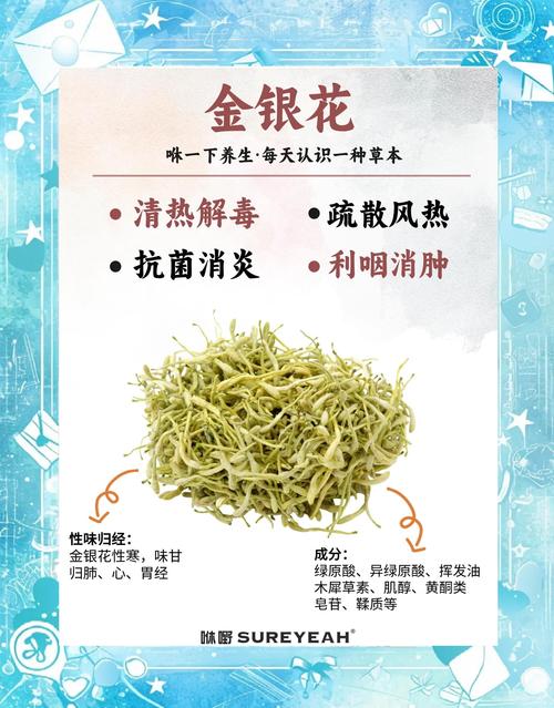 金银花对痛风有帮助吗