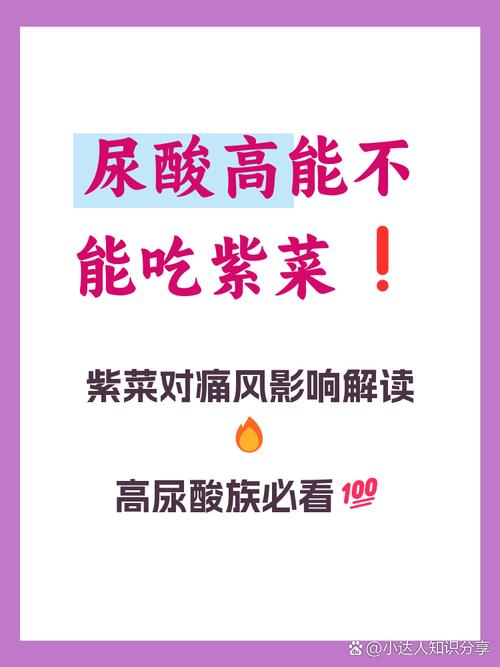 痛风病人可以吃紫菜吗