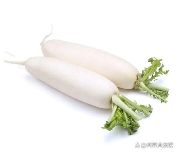 痛风病人能吃白萝卜吗