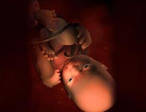 怀孕几个月胎儿安全了