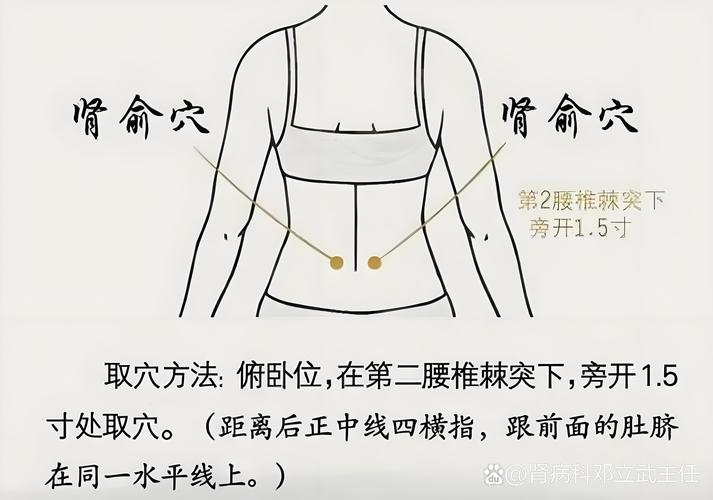 女性肾虚可以针灸吗