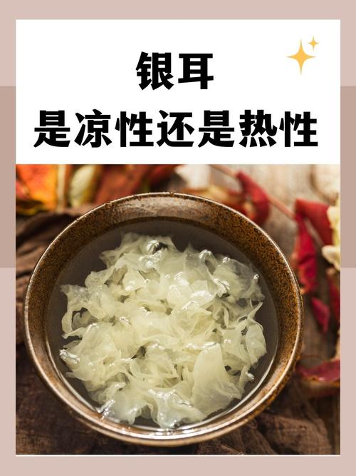 痛风病人可以吃银耳吗