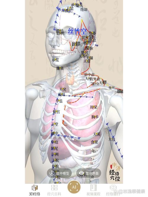 针灸软件哪个好用吗