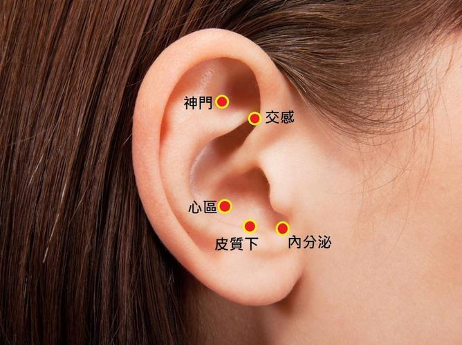 高血压针灸哪个穴位