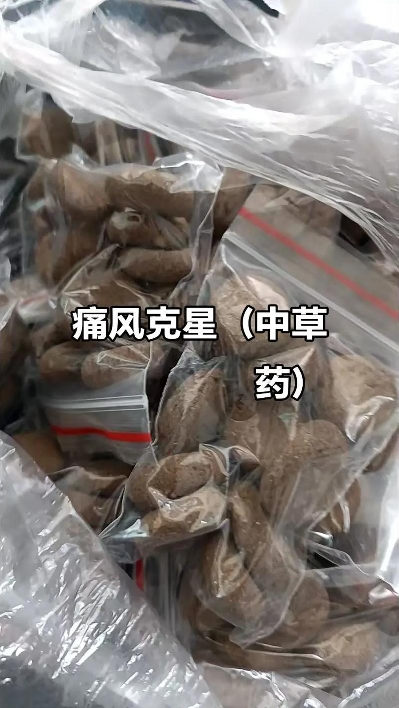痛风吃什么中草药调理