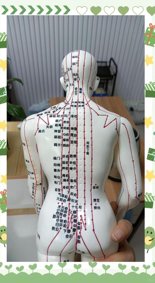 人体针灸高清学位图