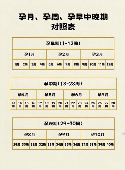 安全期怀孕的几率多大