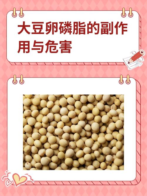 痛风能吃大豆卵磷脂吗