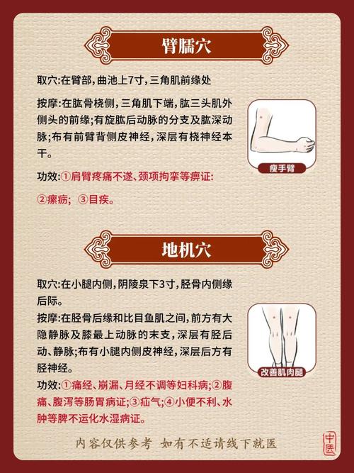 中医针灸减肥哪里好