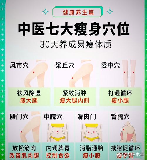 中医针灸减肥哪里好