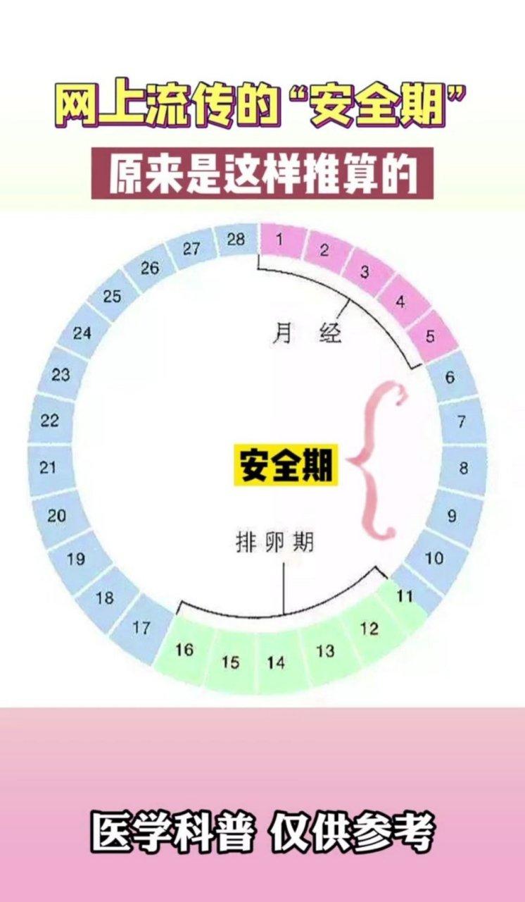 安全期怎么计算最准确