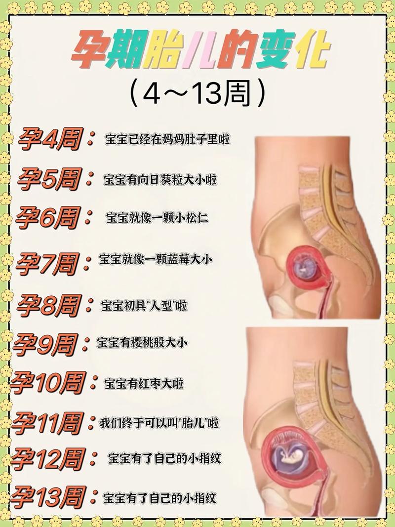 安全期怀孕了胎儿好吗