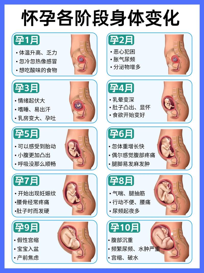 安全期怀孕了胎儿好吗