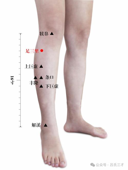 甲状腺肿大针灸位置
