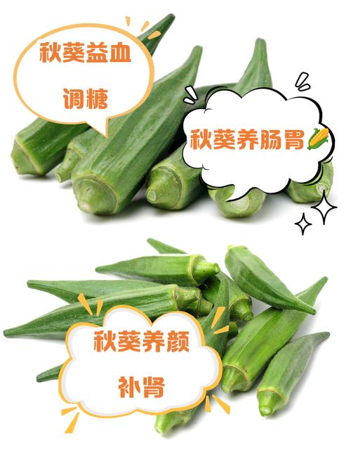 痛风病人可以吃秋葵吗