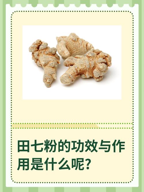 痛风病人能吃三七粉吗