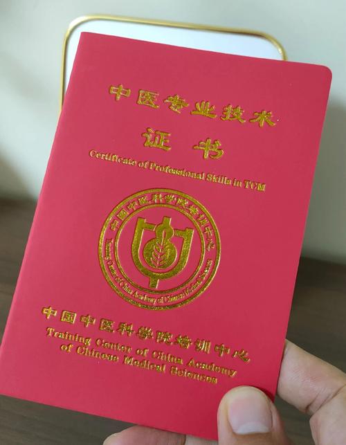 中医针灸治疗技术证