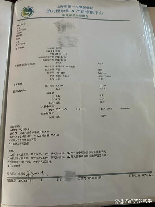 双胎输血过几周算安全