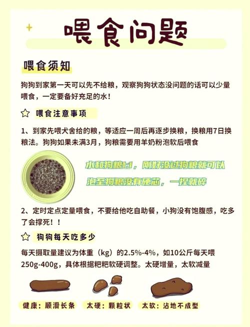 打了预苗的狗狗安全吗