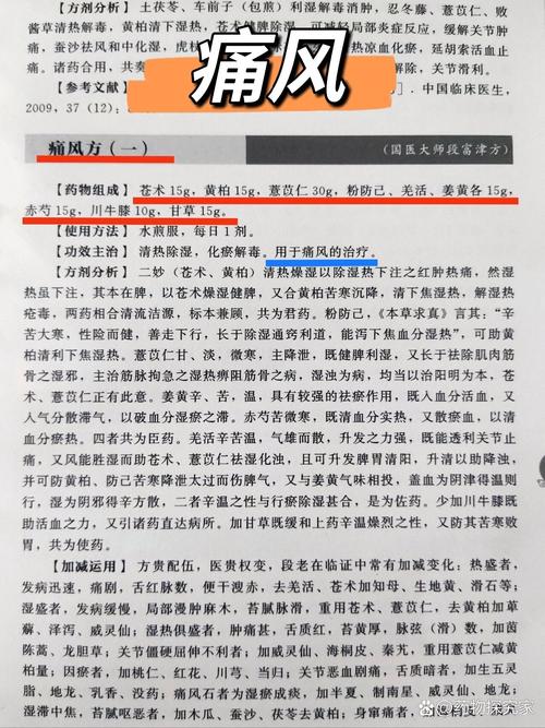 痛风偏方大全很快治愈