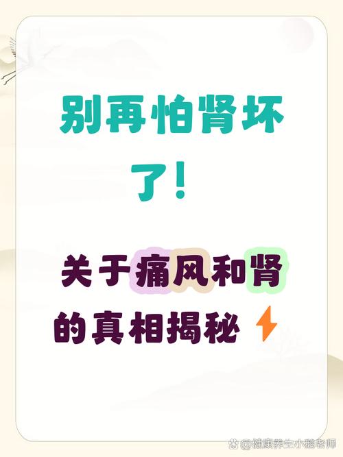 痛风需要检查肾功能吗