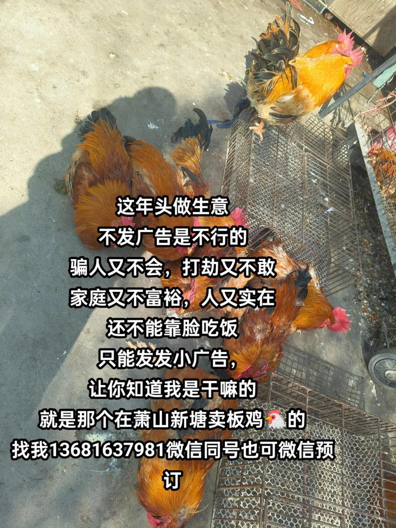 微信附近的人鸡安全吗