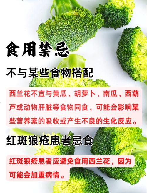 痛风病人能吃西兰花吗