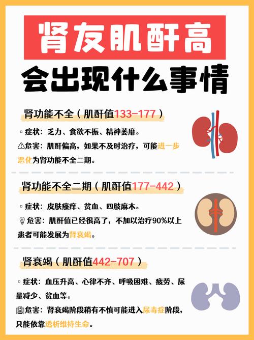 痛风会引起肌酐升高吗