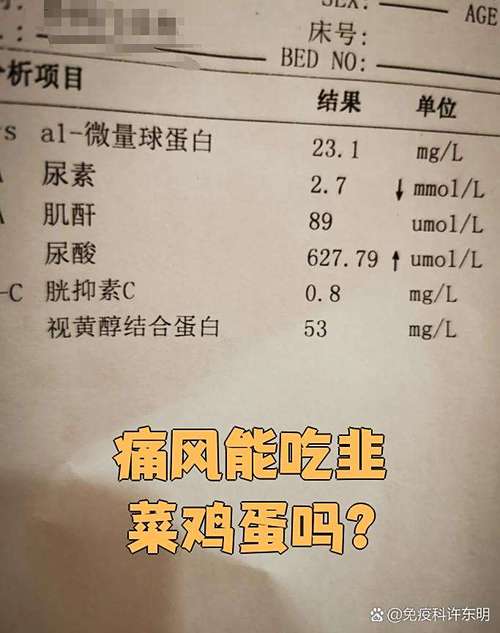 痛风病人能不能吃韭菜