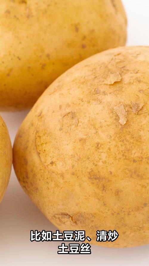 痛风病人可以吃土豆吗