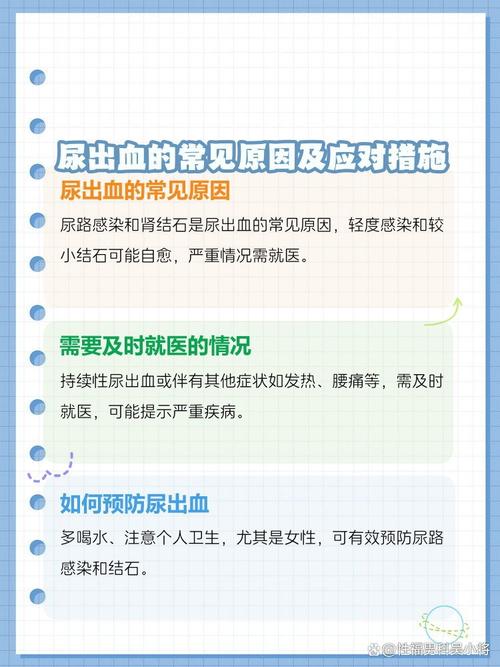 大便出血兰州东大安全