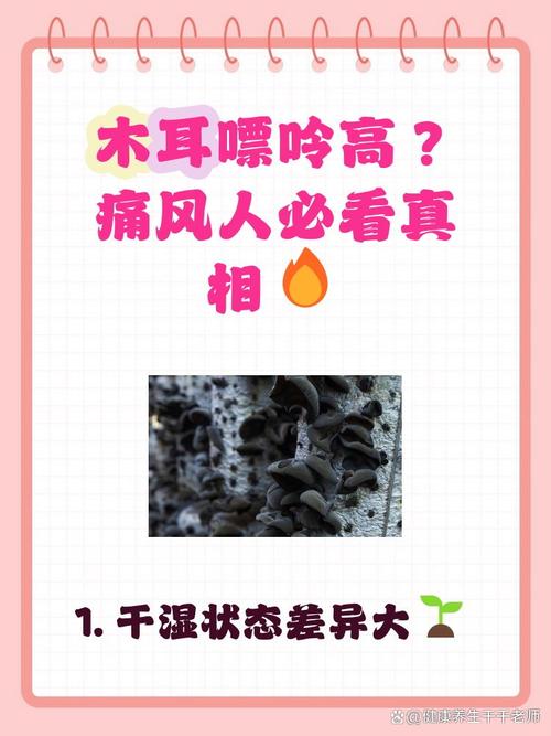 痛风病人可以吃木耳吗