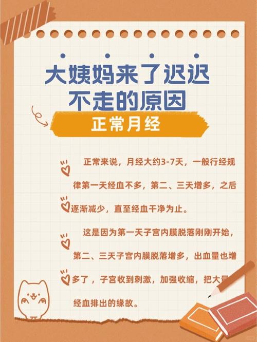 做了安全措施没来月经