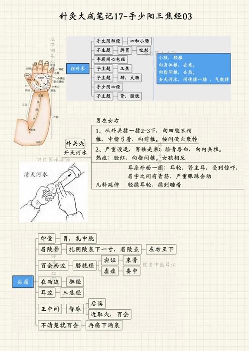 针灸手法彩图pdf