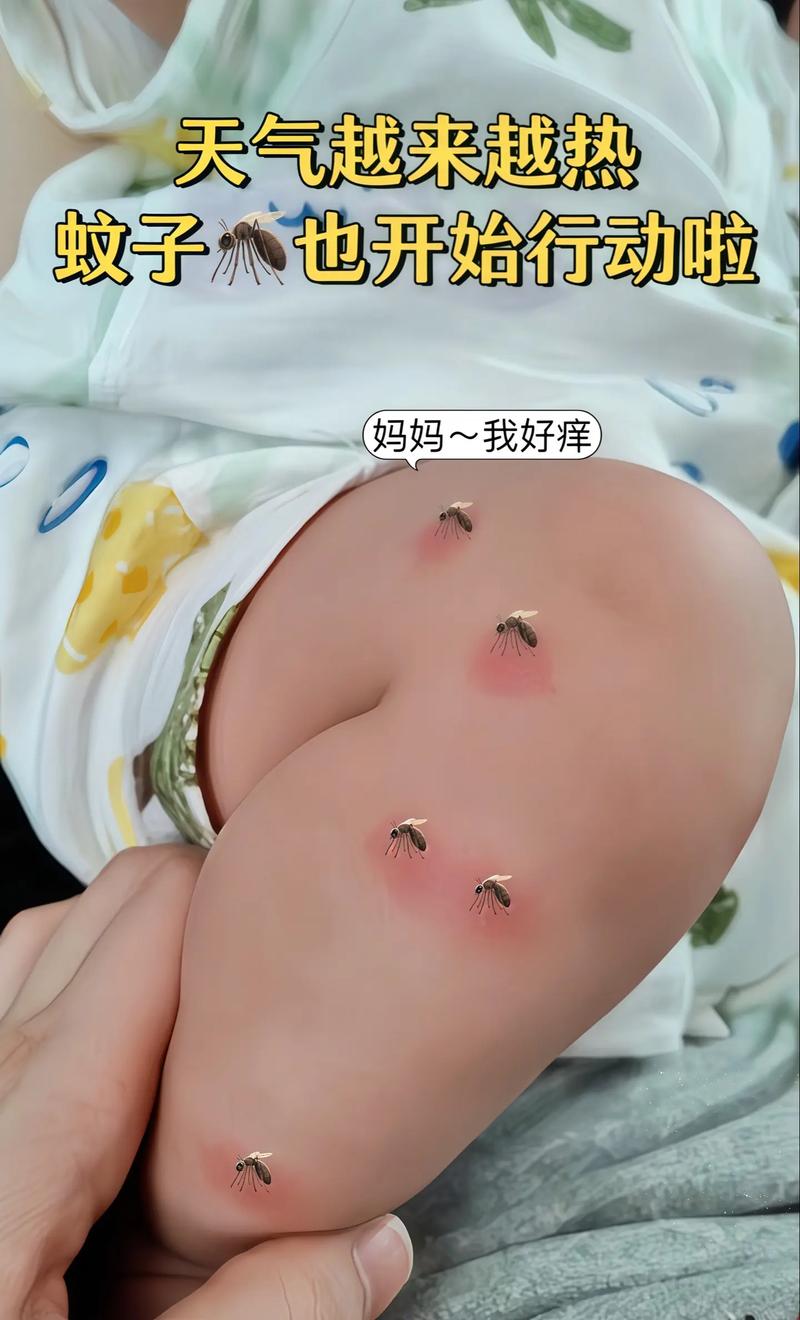 最安全的婴儿驱蚊方式