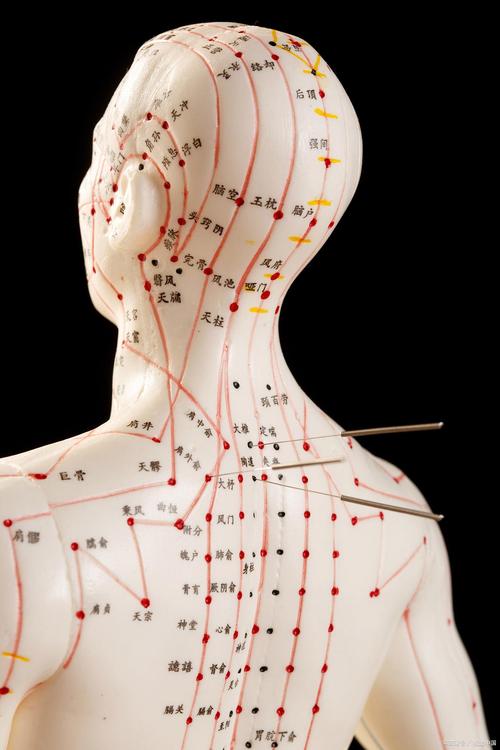 针灸真人图谱pdf