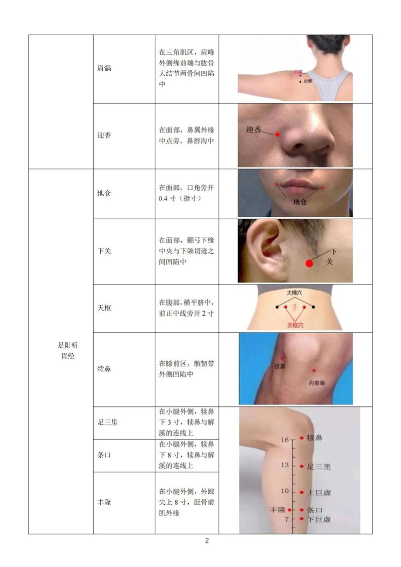 针灸真人图谱pdf