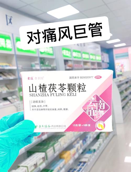 治疗痛风吃什么药最好