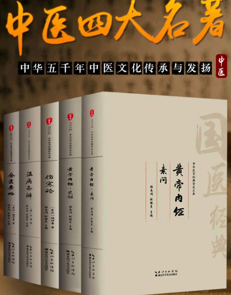 杨甲三针灸取穴视频