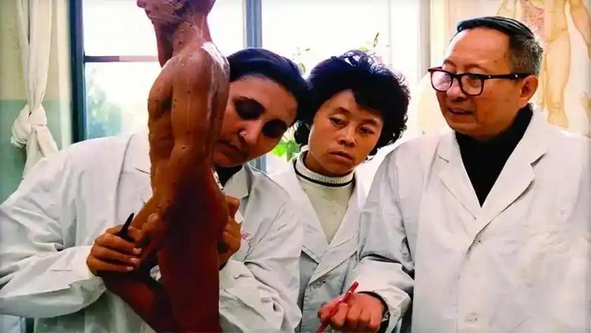 杨甲三针灸教学视频