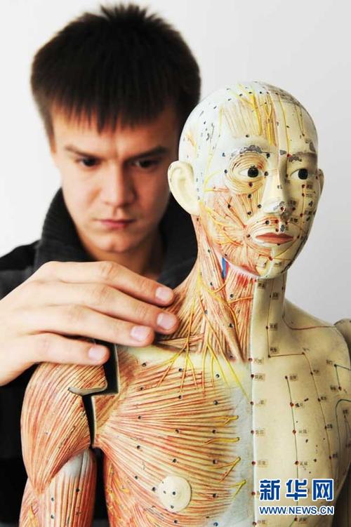 国际针灸医师资格证