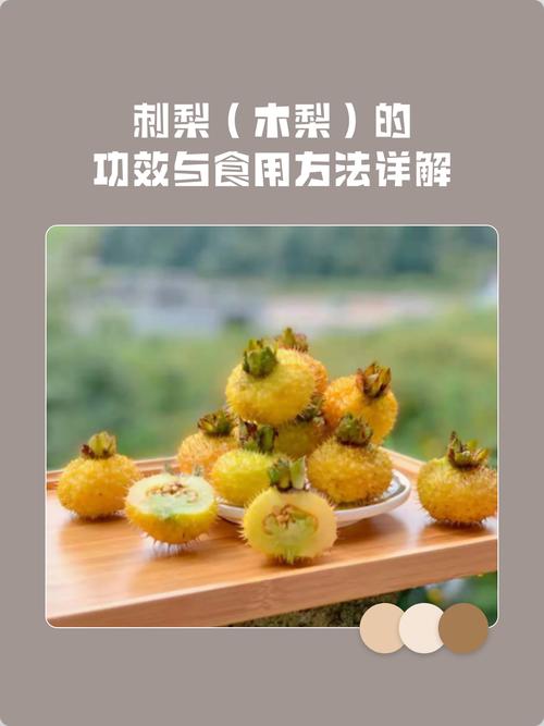 扎针灸能不能吃水果