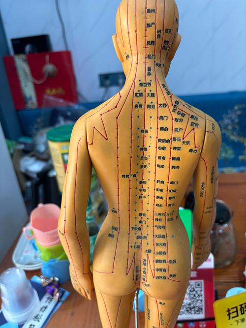 电疗针灸多少钱一次