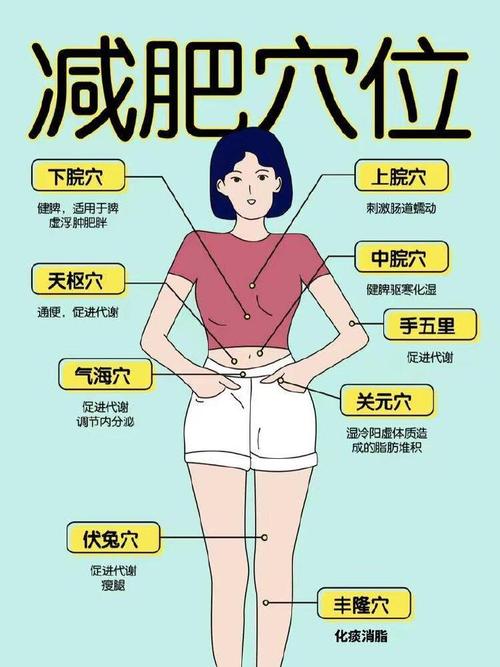 针灸埋线减肥示意图