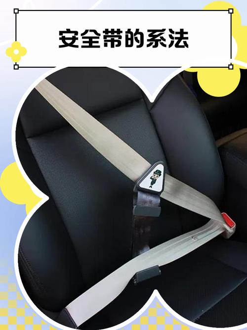 安全带安全座椅的安装