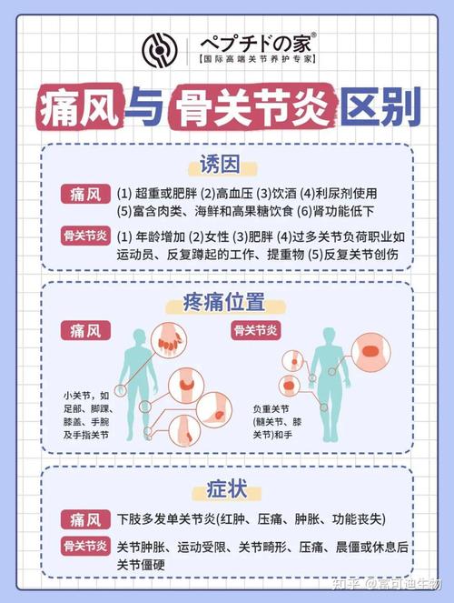 痛风和痛风性关节炎