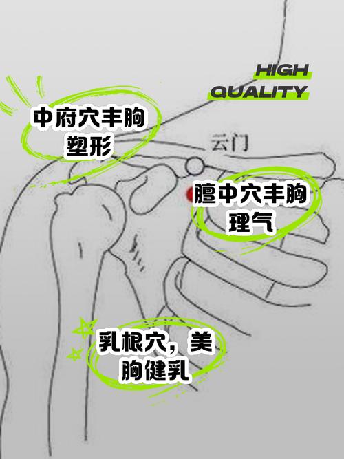 贴丰胸针灸视频教程