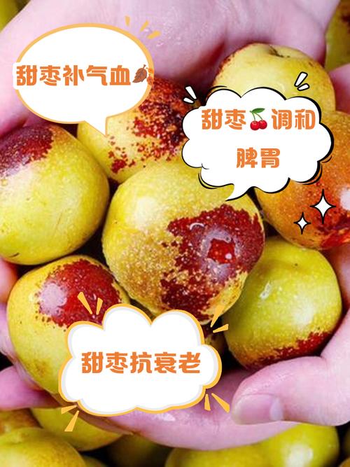 痛风可不可以吃大枣